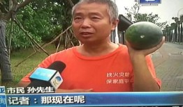 社会热点事件视频 吃瓜网在线观看视频,社会热点事件视频全程回顾